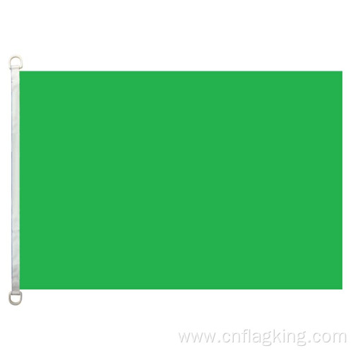 90*150cm F1_green flag 100% polyster